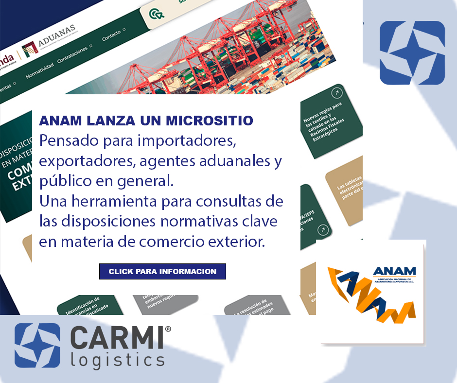 ANAM LANZA MICROSITIO
